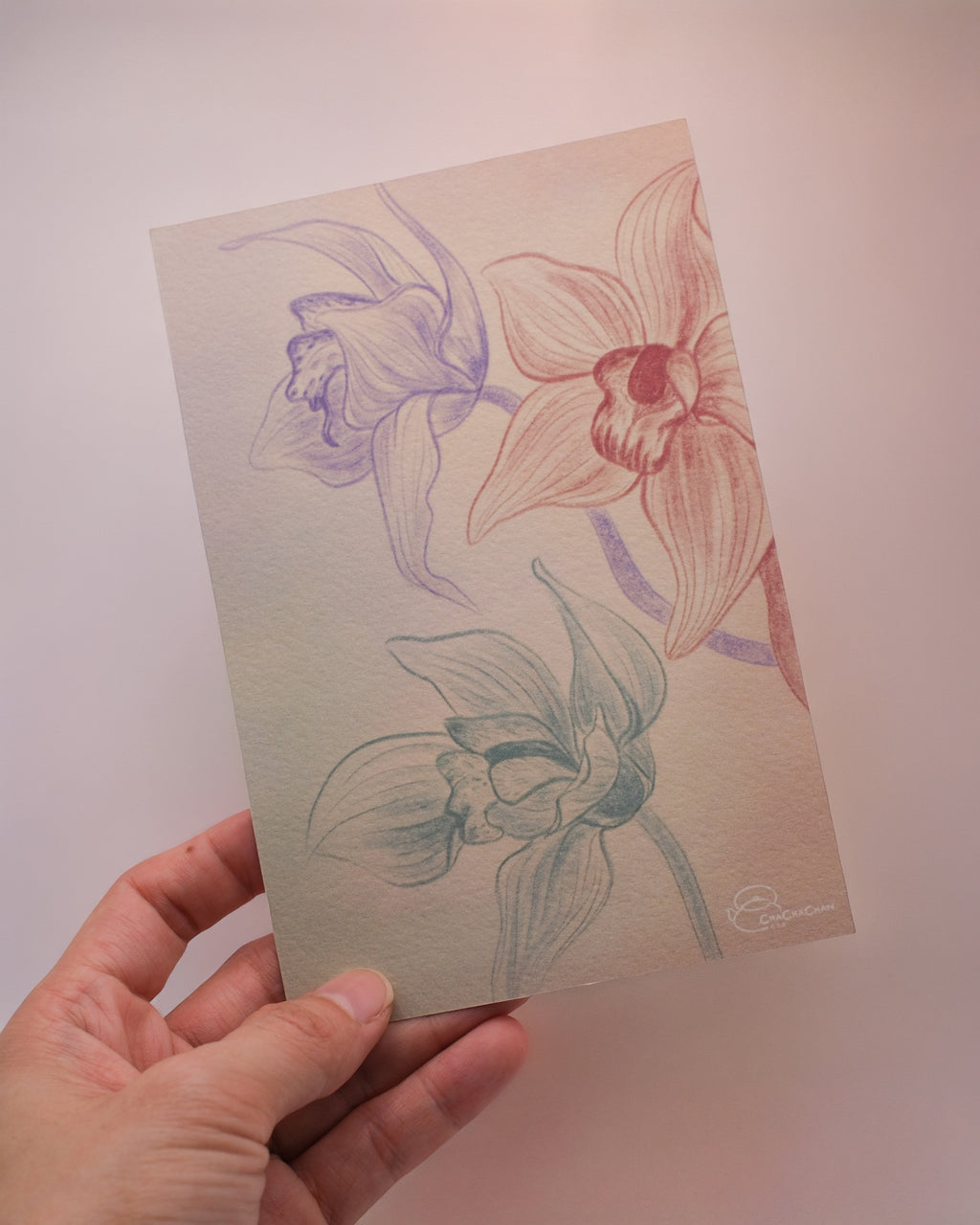 Postcard for the 'White Bud Orchid Oolong Tea' from Cha Cha Chan.