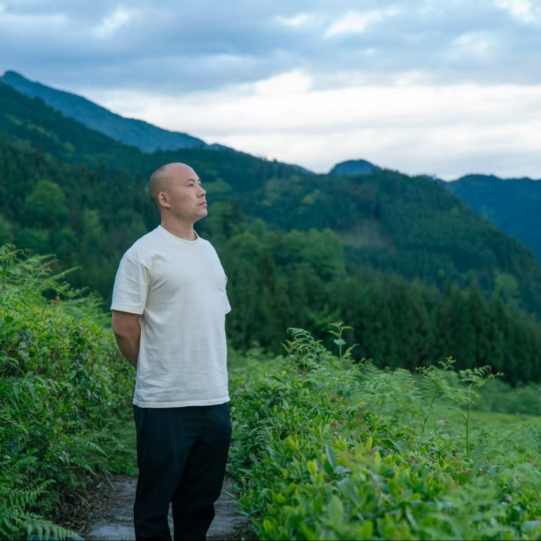Grounded in an intangible cultural heritage tea-making lineage, Zhen Yuan Handmade Tea Workshop works with historic Sichuan tea gardens situated above 1,000 metres within the giant panda national park zone. The estate primarily draws from old-growth, semi-wild Sichuan heirloom cultivars (Lao Chuan Cha), with bushes averaging around 80 years of age. Due to the high altitude and cool climate, these bushes sprout later than commercial spring crops, resulting in a naturally concentrated flavor profile.